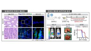 [보도자료] KBS 광주과기원 “구충제 밀테포신이 암 세포 생존 방해하는 원리 규명” 이미지