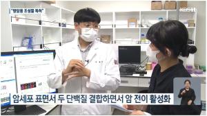 [ 보도자료]  KBS “암 전이를 막아라” 펩타이드 항암제 발굴 특허 출원 이미지